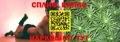 сатива Конаково