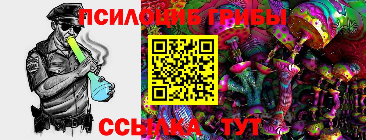 Псилоцибиновые грибы Magic Shrooms  Вход с VPN  Вольск 